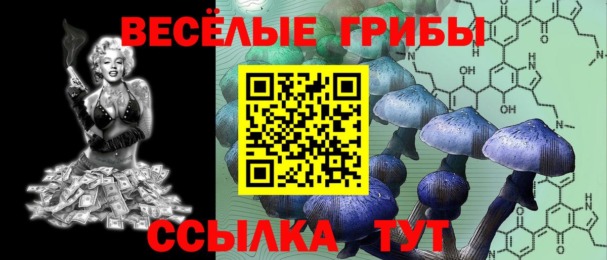 Ирбит  Псилоцибиновые грибы GOLDEN TEACHER  Вход с VPN  Галлюциногенные грибы Psilocybine cubensis 